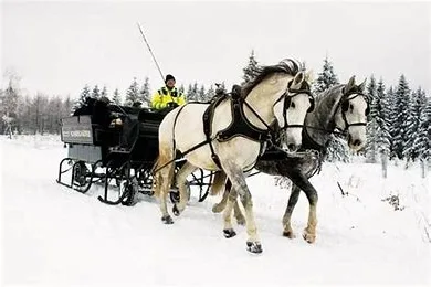 Schlittenfahrt im Erzgebirge